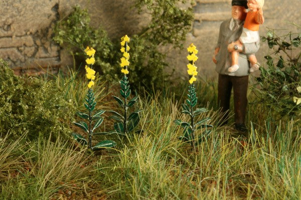Königskerze 1:45 / 1:56 Model-Scene