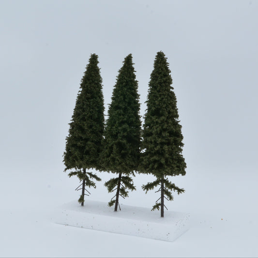 3 Stück Fichte mit kurzem Stamm 180–220