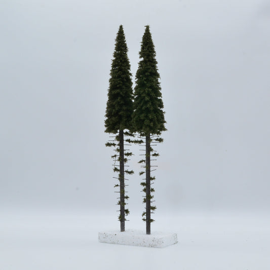 2 Stück Hochstamm Fichte 400mm