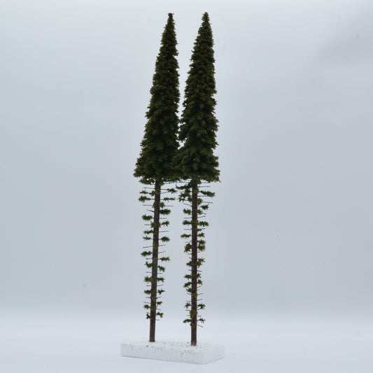 2 Stück Hochstamm Fichte 500mm