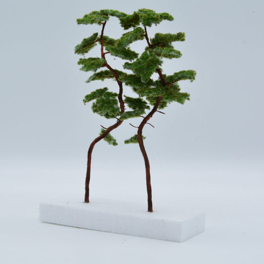 2 Stück Bergkiefer 180-220 mm