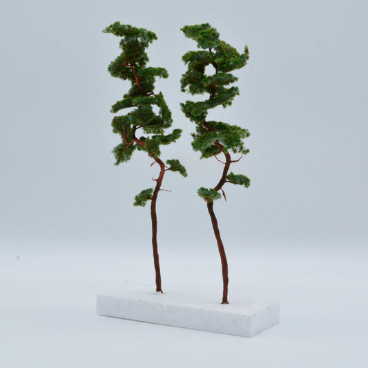 2 Stück Bergkiefer 230-260 mm