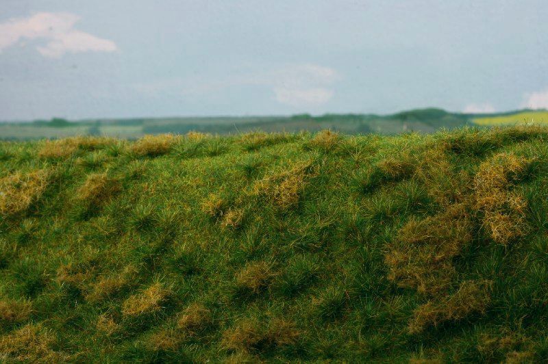 Brachland - Frühsommer