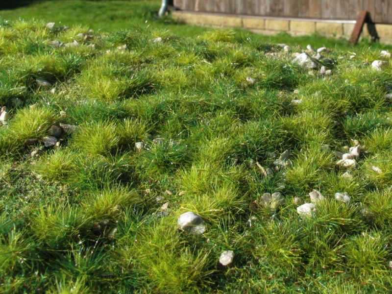 Frühsommer, kleine Kalksteine Model-Scene