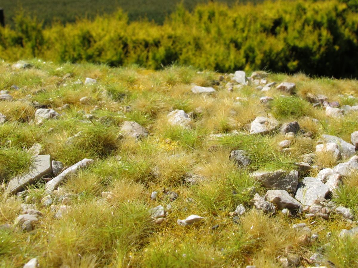 Spätsommer, eine Menge Kalksteine Model-Scene