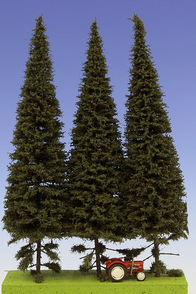 3 Stück Fichte mit kurzem Stamm 230-270