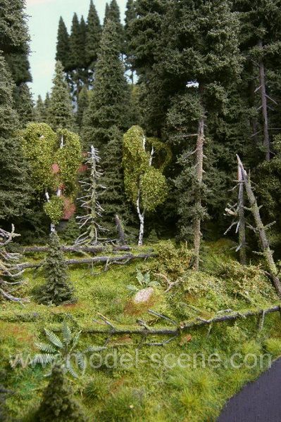 Profi MINI-DIORAMA – Waldquelle / Frühlingsszene