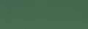 Einzelfarbe "Lichtgrün", 17 ml - Langmesser-Modellwelt - Vallejo