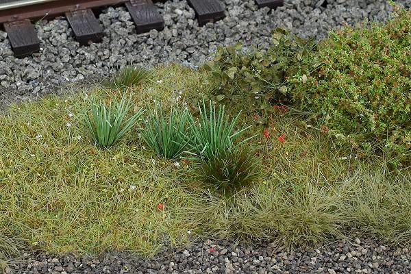 Stachel-Segge 1:45/1:48 - Langmesser-Modellwelt - Model-Scene