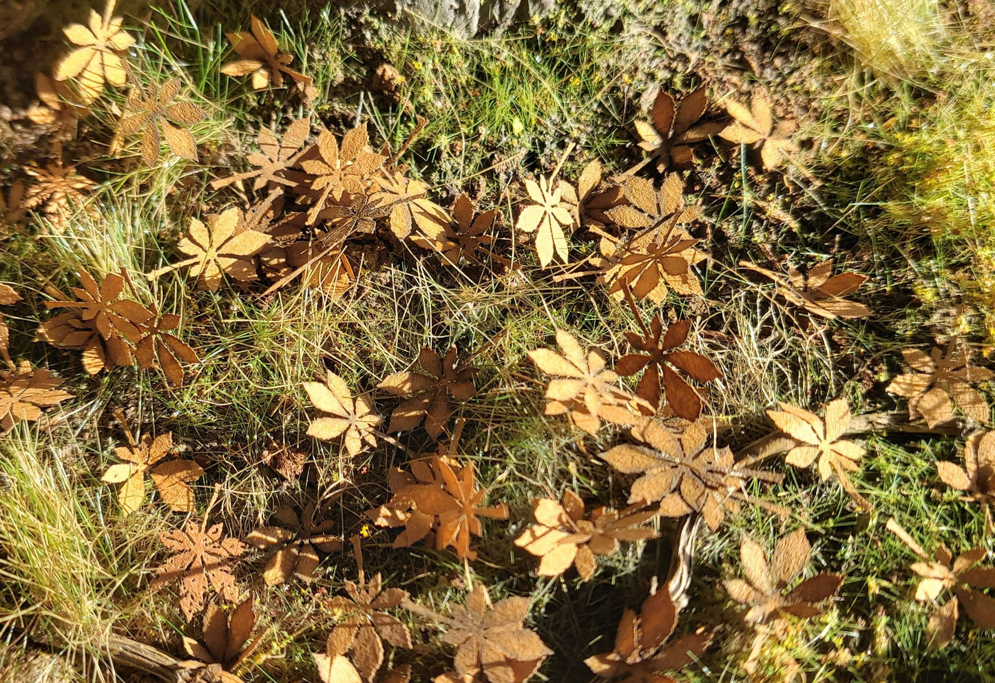 Kastanienblätter - Extra farben - Langmesser-Modellwelt - Model-Scene