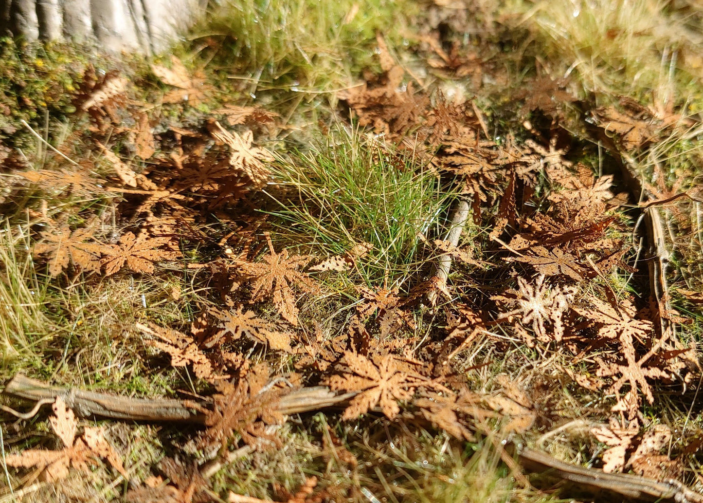 Verfaulte Kastanienblätter - Langmesser-Modellwelt - Model-Scene