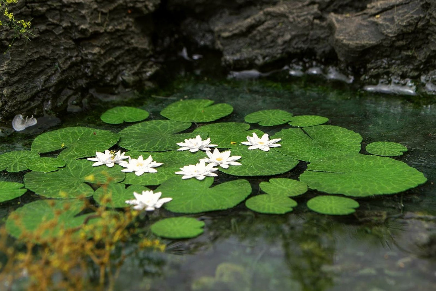 Seerose 1:45 / 1:56 - Langmesser-Modellwelt - Model-Scene