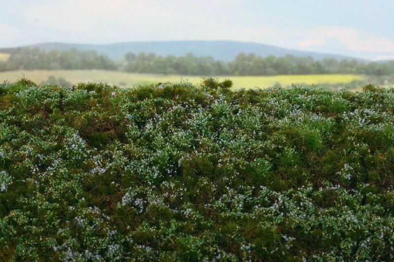 Walduntergrund - Blaubeeren Minipack - Langmesser-Modellwelt - Model-Scene