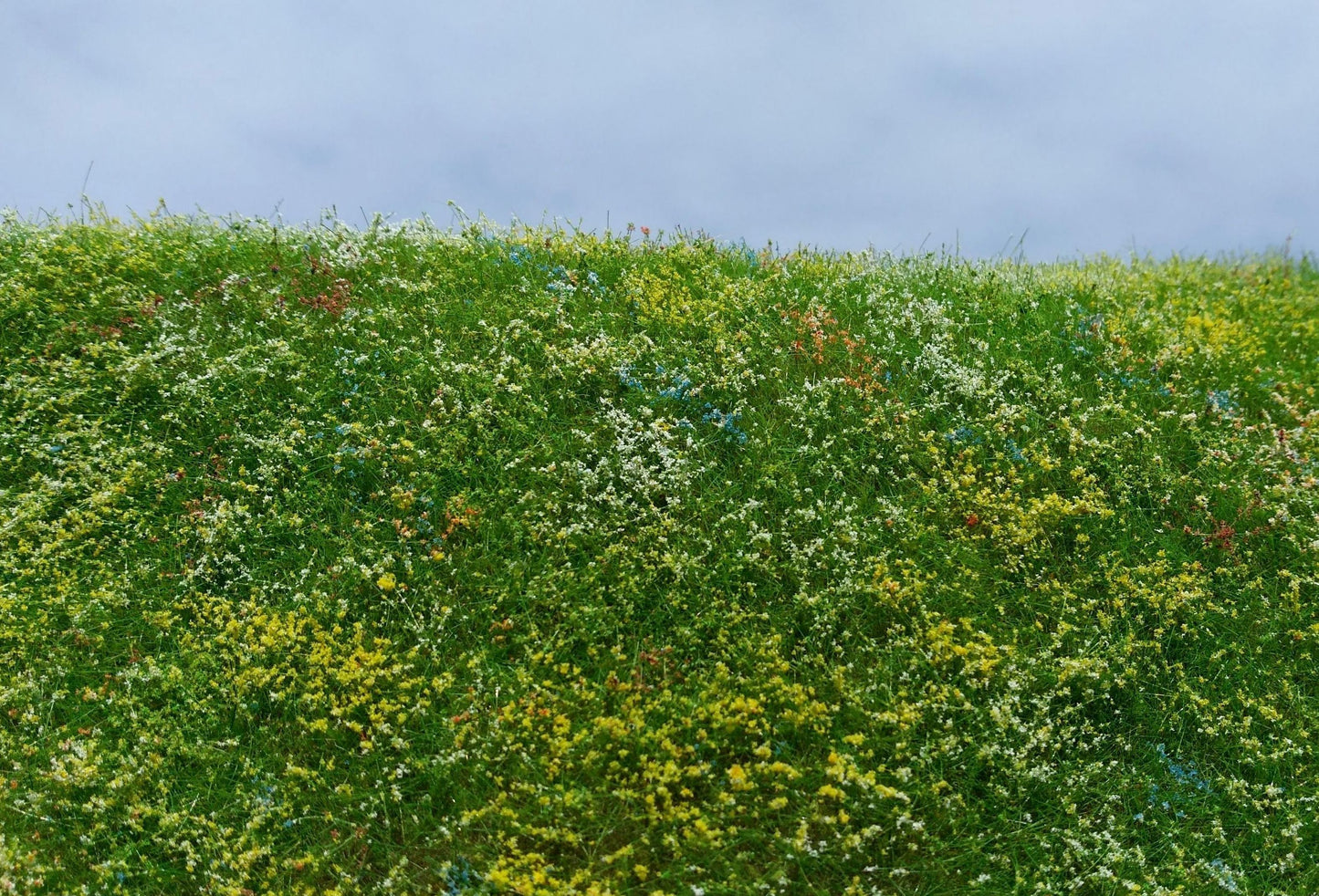 Blühende Wiese- Frühsommer - Langmesser-Modellwelt - Model-Scene