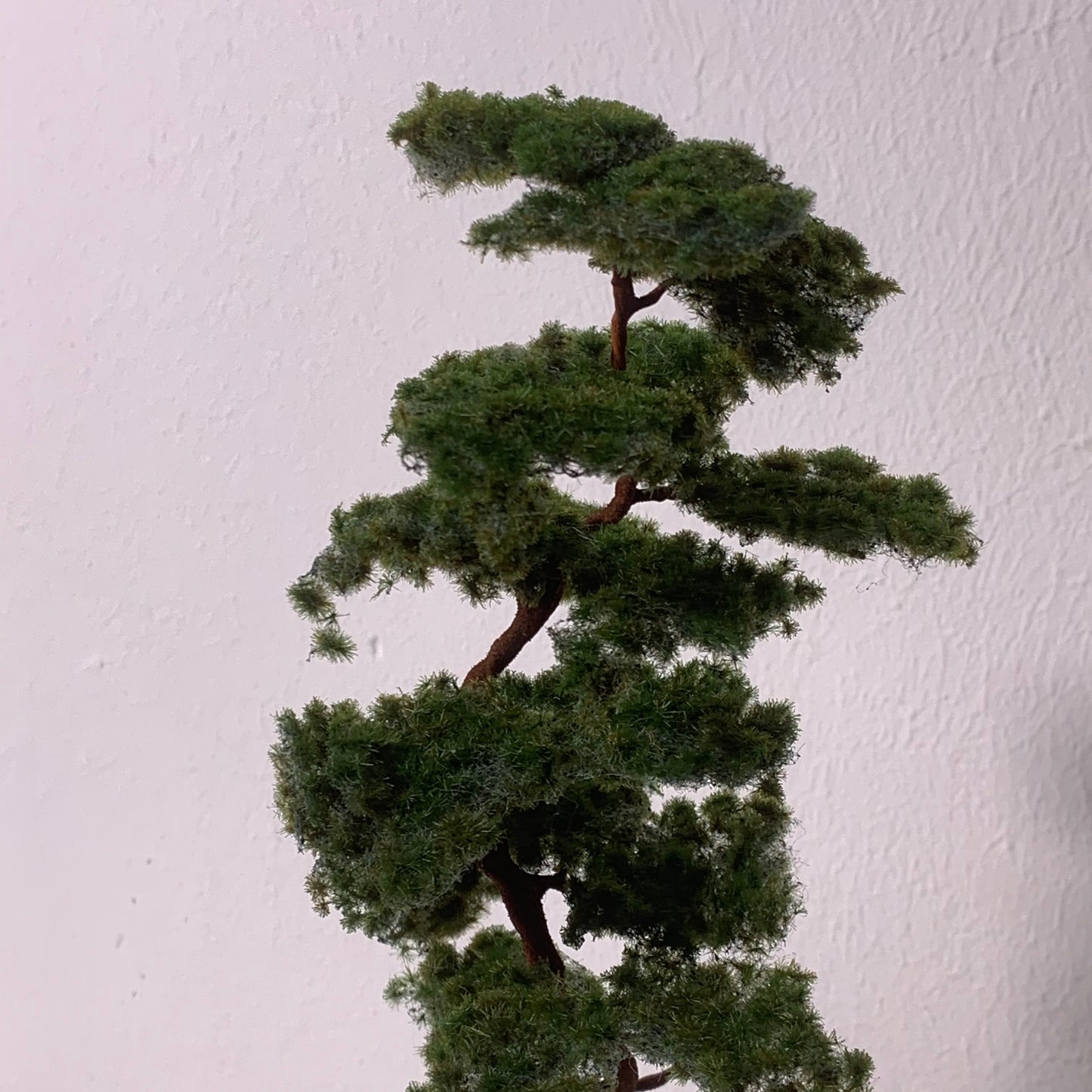 2 Stück Bergkiefer 230-260 mm - Langmesser-Modellwelt - Model-Scene