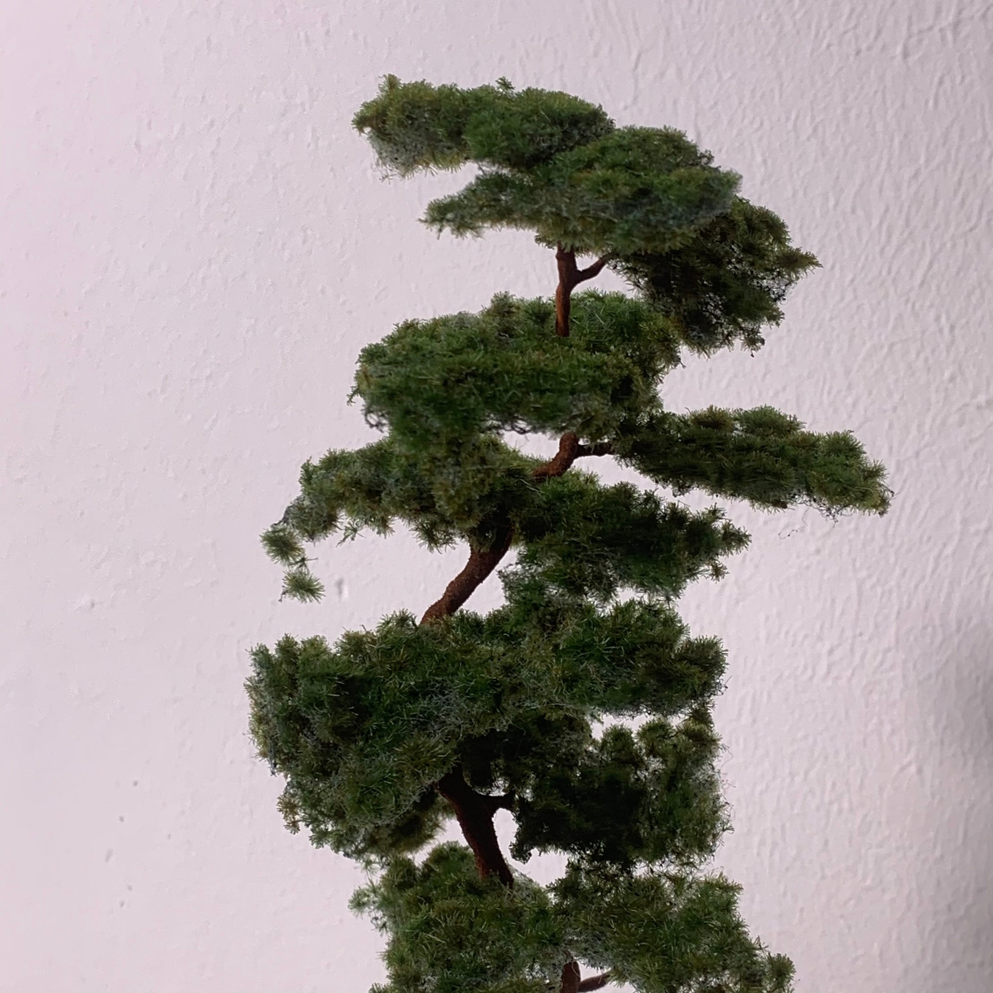 2 Stück Bergkiefer 230-260 mm - Langmesser-Modellwelt - Model-Scene