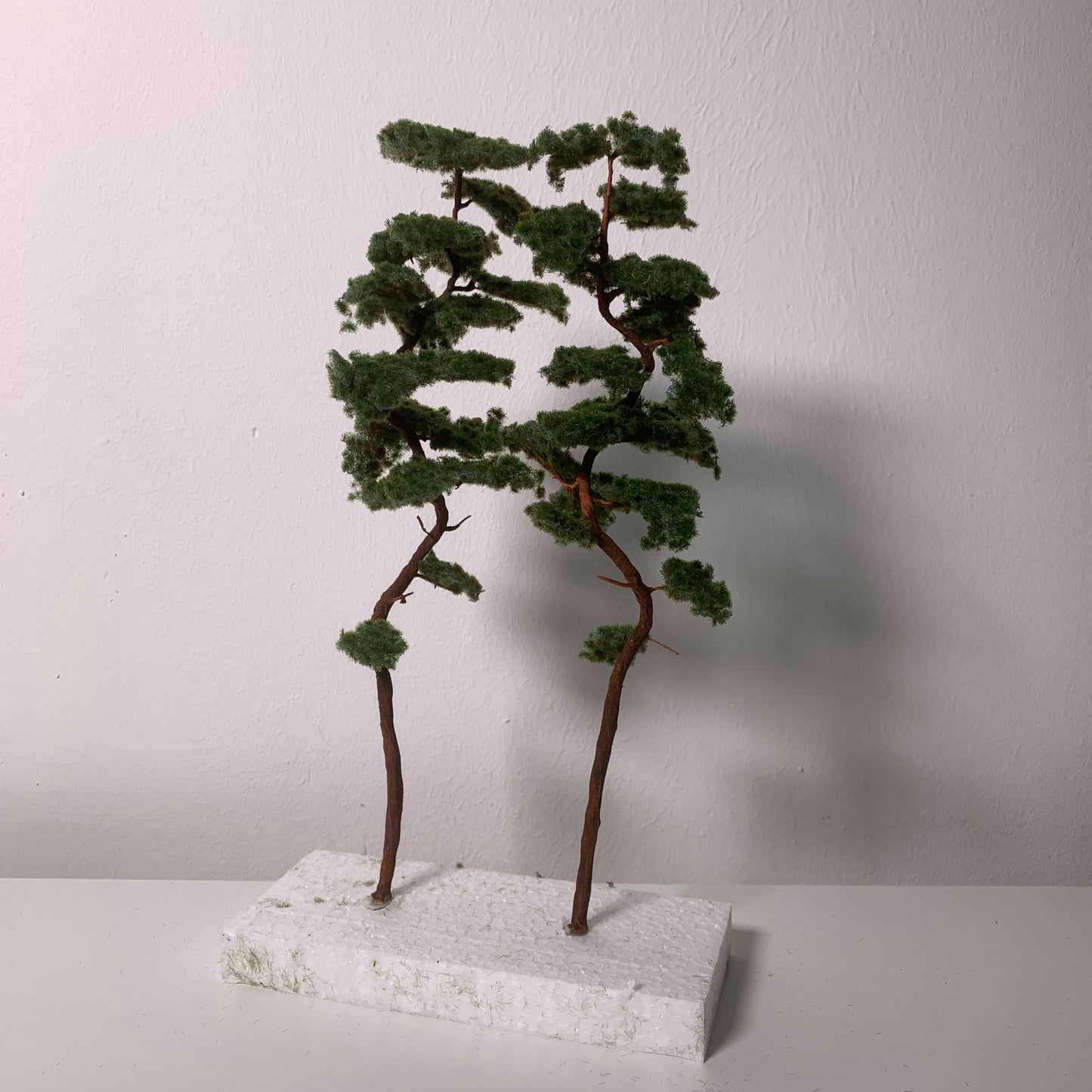 2 Stück Bergkiefer 230-260 mm - Langmesser-Modellwelt - Model-Scene