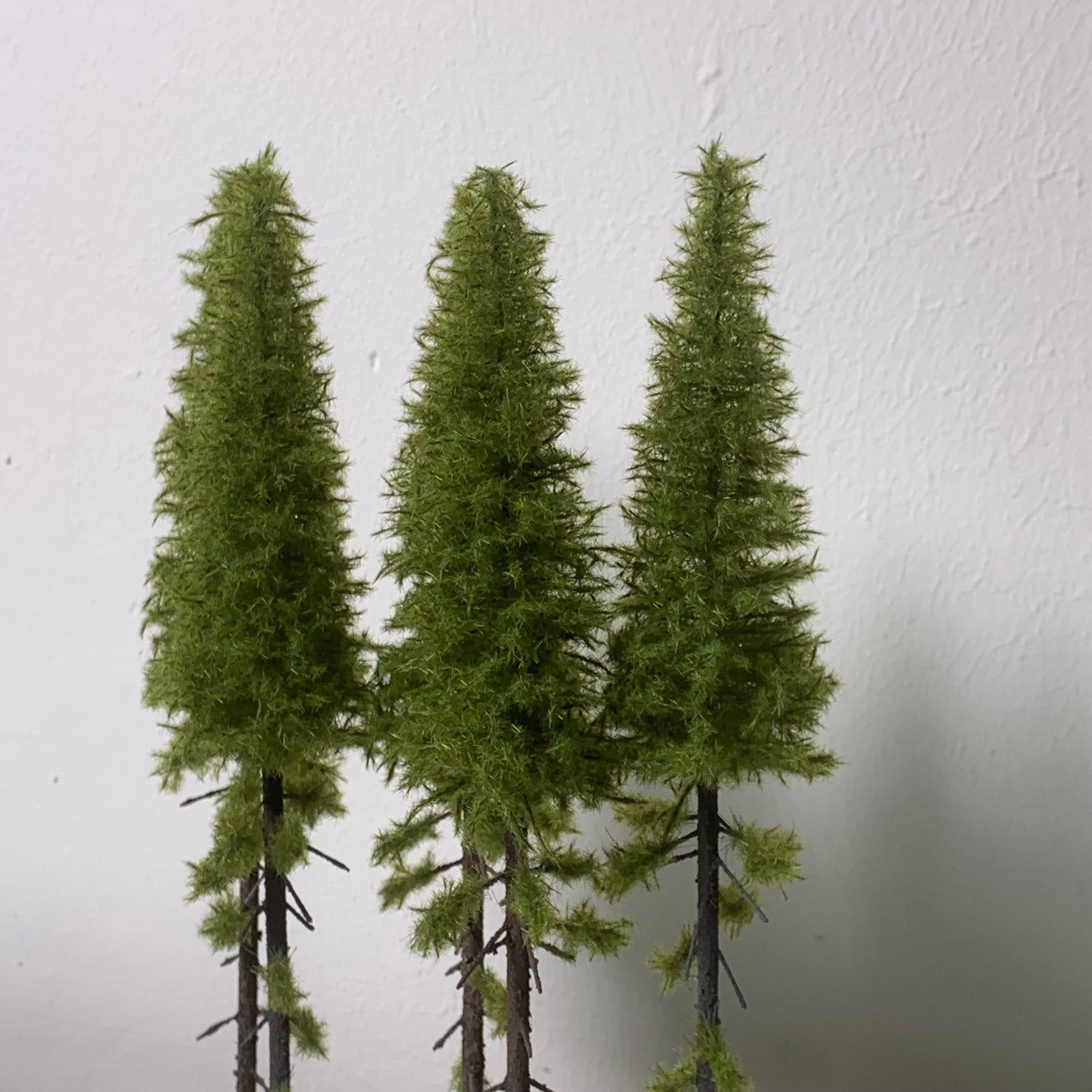 5 Stück Lärche mit Stamm 180-220 mm - Langmesser-Modellwelt - Model-Scene