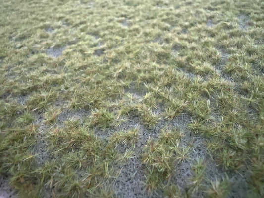 Rollrasen klein -Frühling