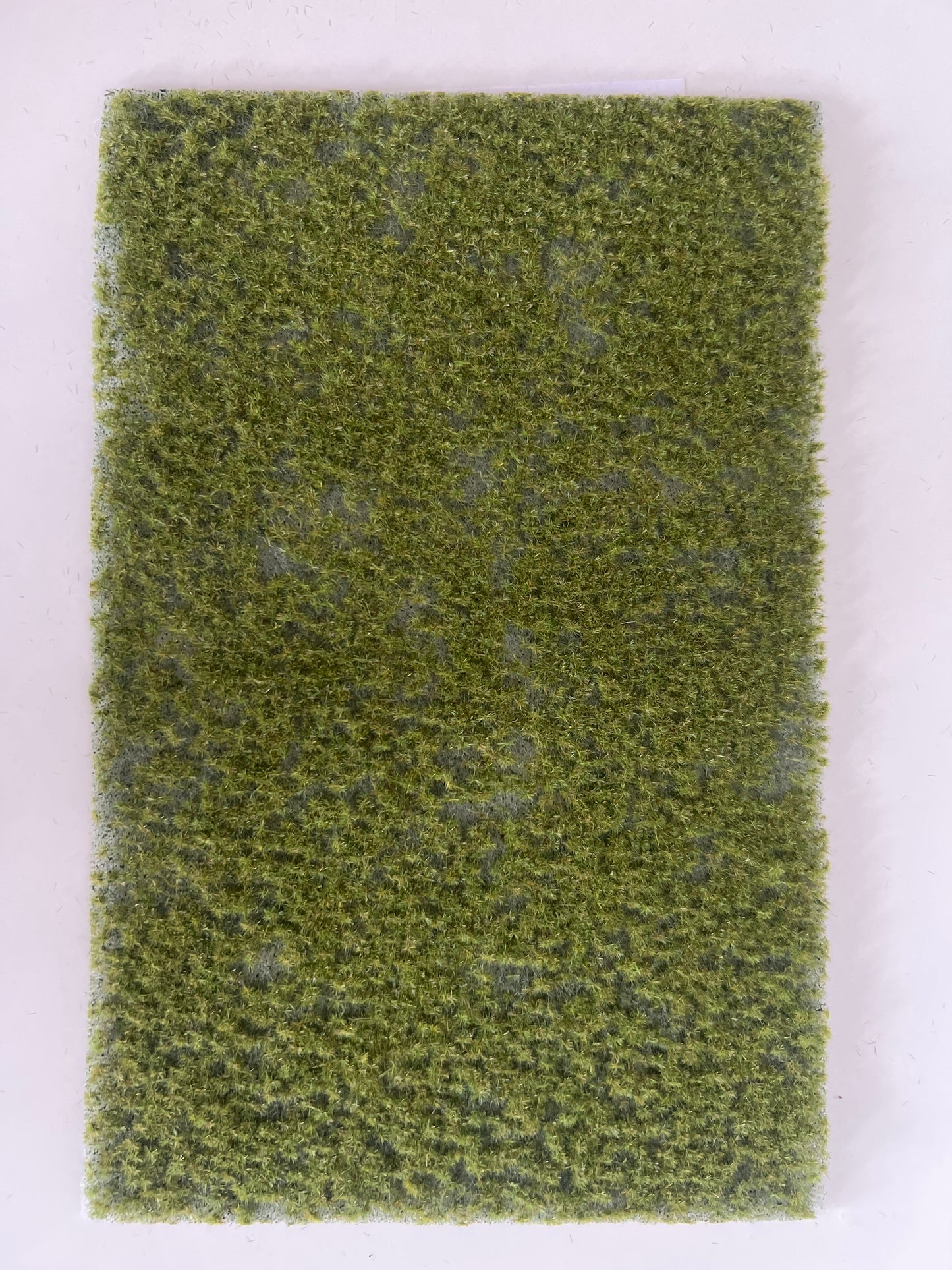 Rollrasen klein -Frühling