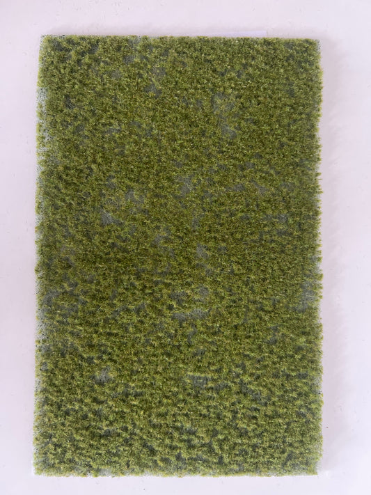 Rollrasen klein -Frühling