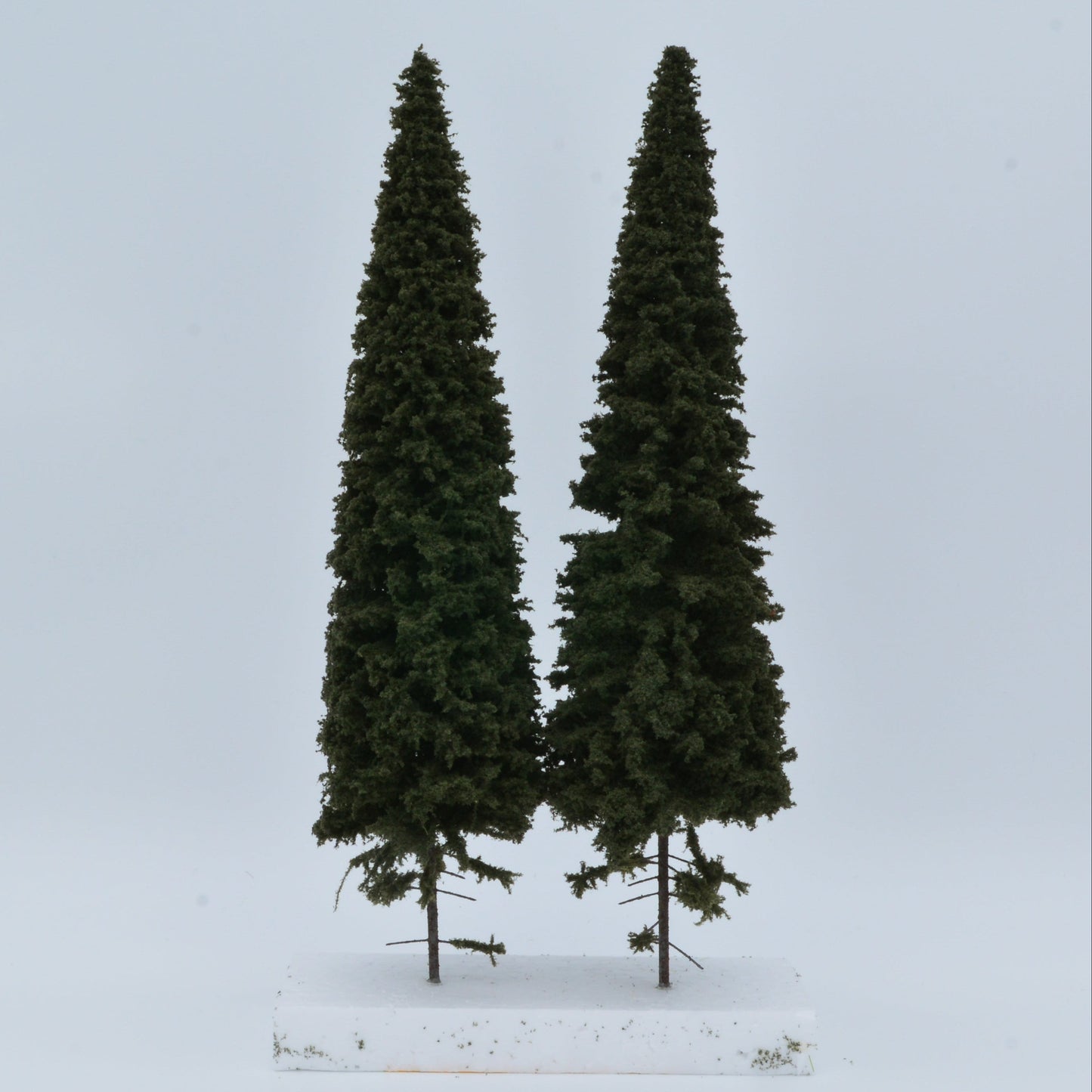 2 Stück Fichte mit kurzem Stamm 280-320mm