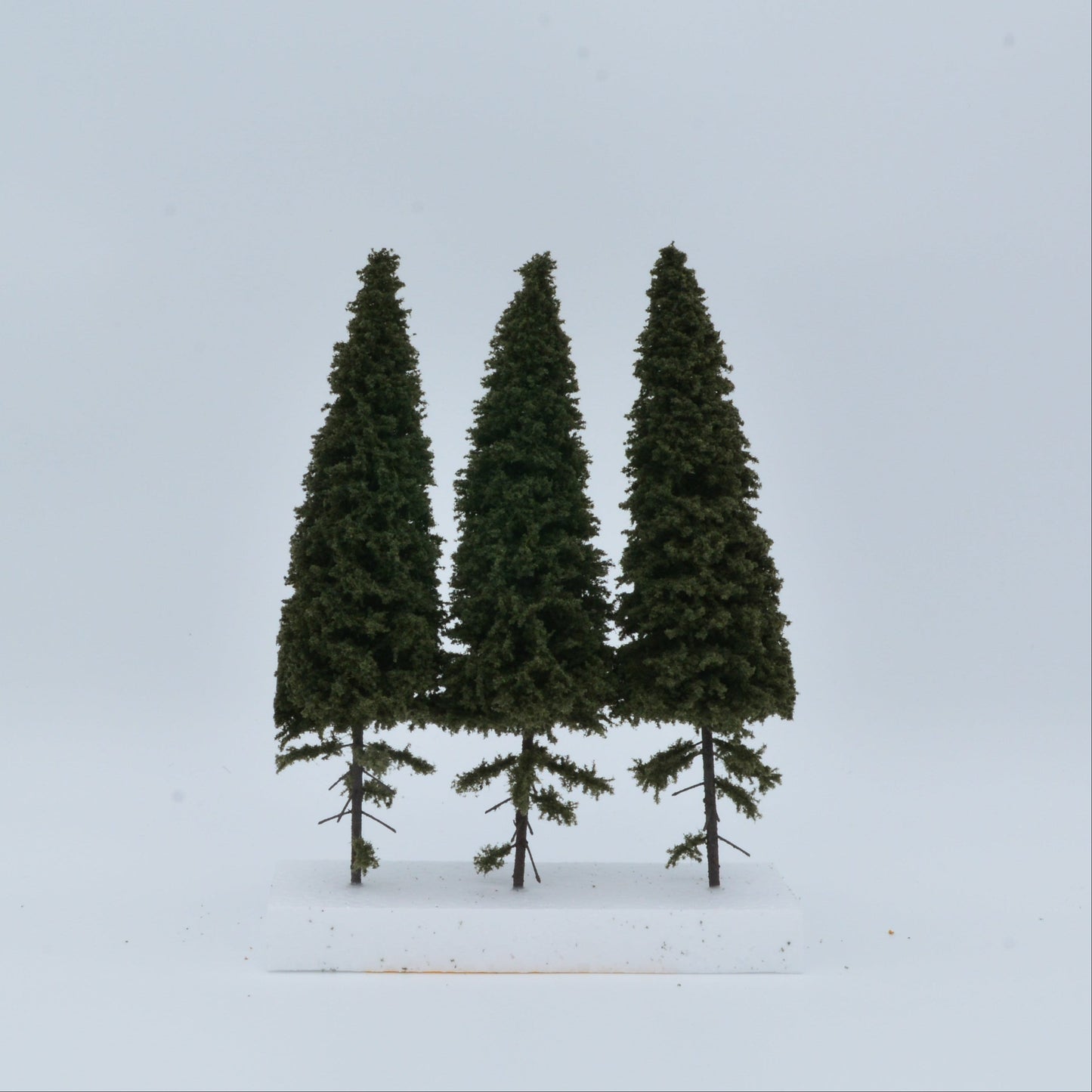 3 Stück Fichte mit kurzem Stamm 180–220
