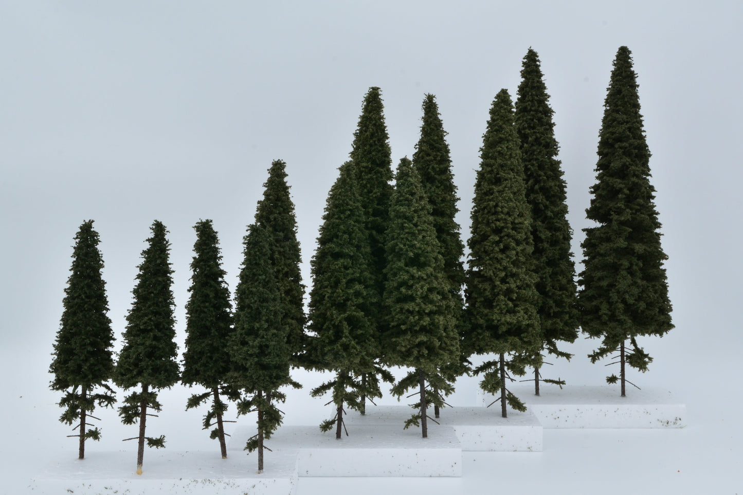 2 Stück Fichte mit kurzem Stamm 280-320mm