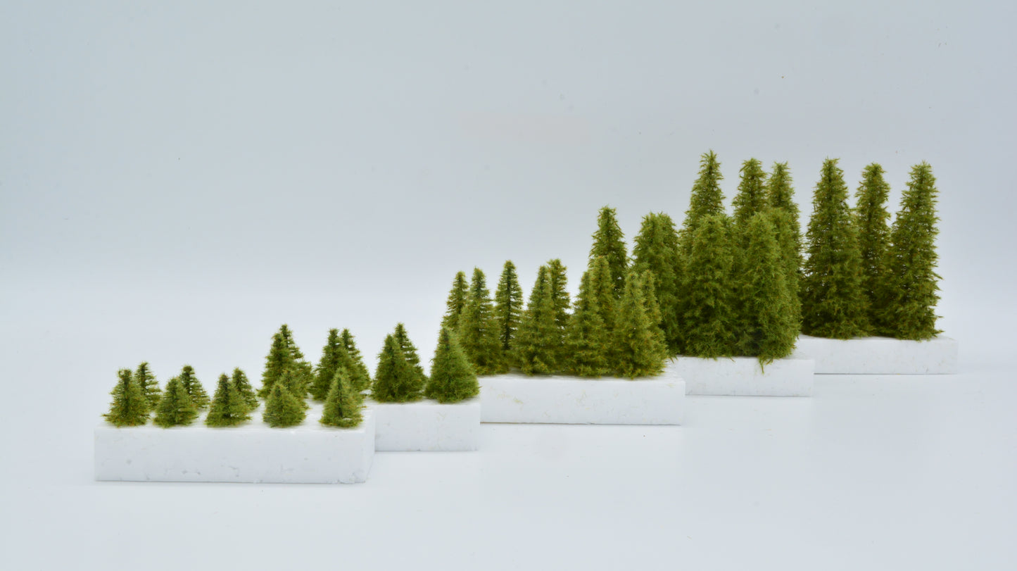 10 Stück Lärche 15 mm