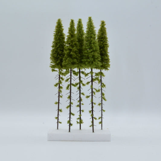 5 Stück Lärche mit Stamm 280-320 mm