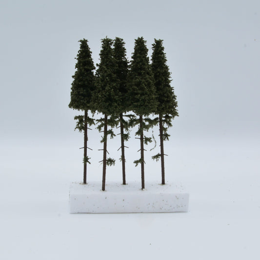 5 Stück Fichte mit Stamm 140-160mm