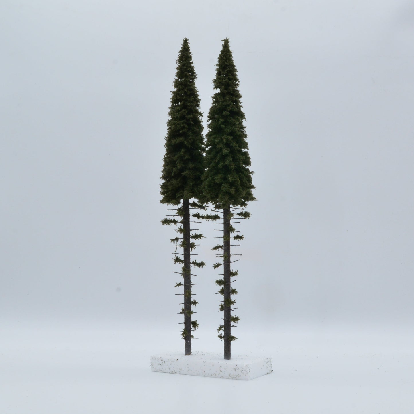 2 Stück Hochstamm Fichte 400mm