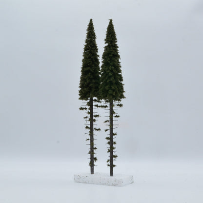 2 Stück Hochstamm Fichte 400mm