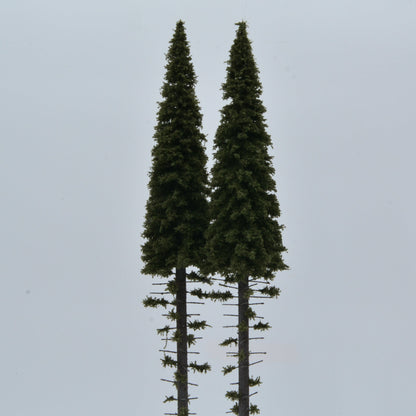 2 Stück Hochstamm Fichte 400mm