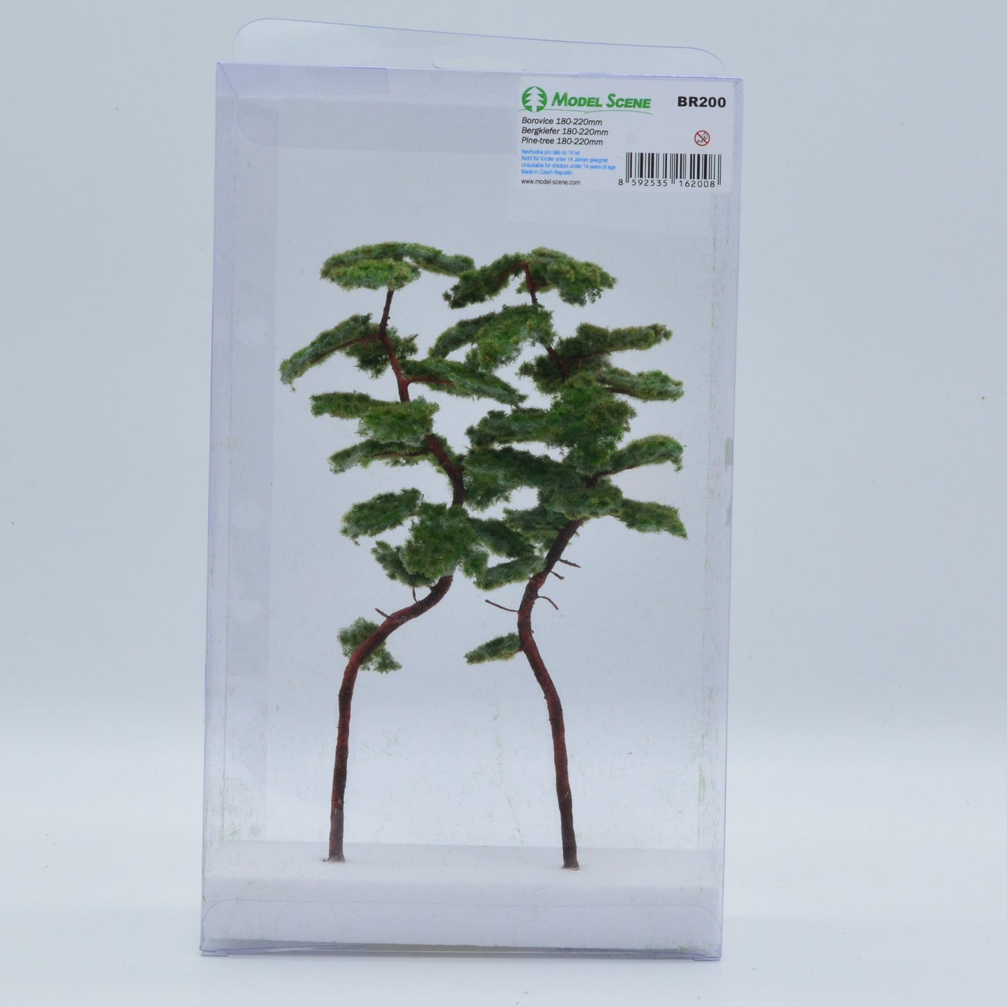 2 Stück Bergkiefer 180-220 mm