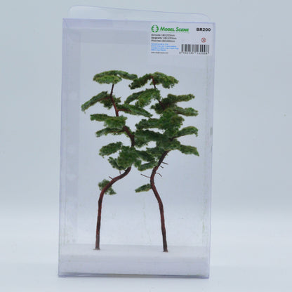 2 Stück Bergkiefer 180-220 mm