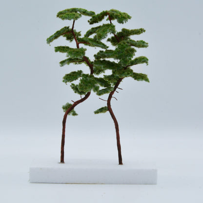 2 Stück Bergkiefer 180-220 mm