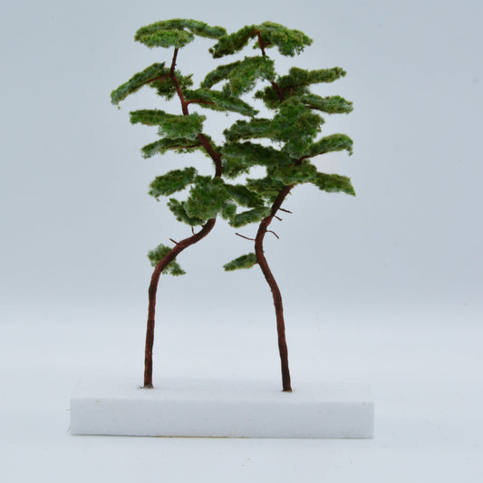 2 Stück Bergkiefer 180-220 mm