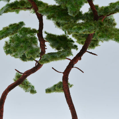 2 Stück Bergkiefer 180-220 mm