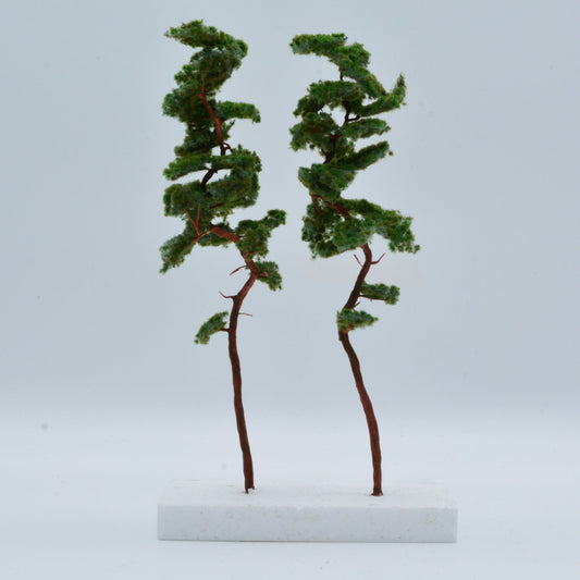 2 Stück Bergkiefer 230-260 mm