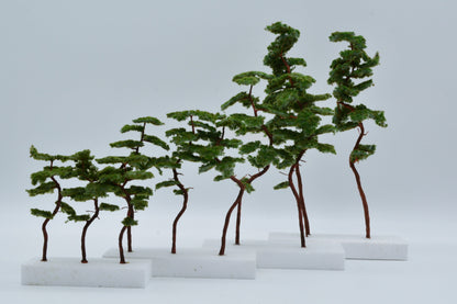 2 Stück Bergkiefer 180-220 mm