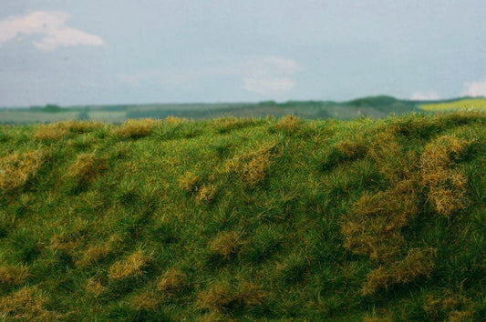 Brachland - Frühsommer