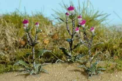 Distel 1:72 / 1:87 Model-Scene