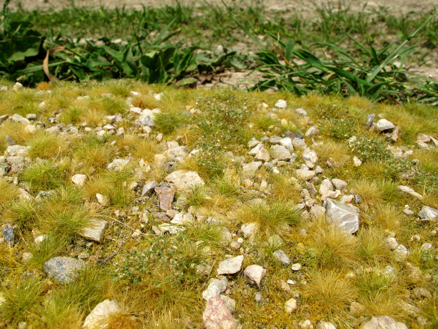 Spätsommer, steinig (Kalk)