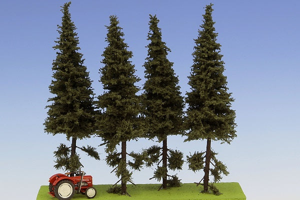 4 Stück Fichte mit kurzem Stamm 150