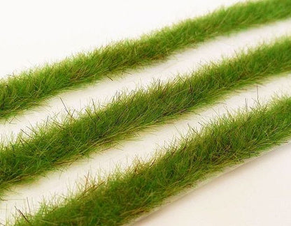 Grasstreifen Frühling