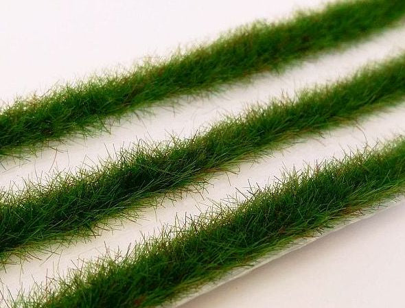 Grasstreifen Frühsommer