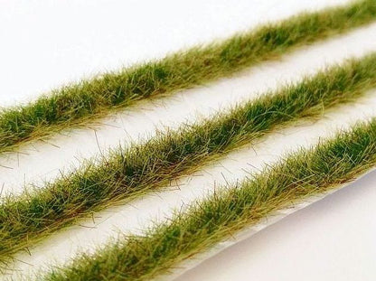 Grasstreifen Spätsommer