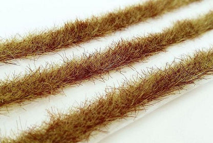 Grasstreifen Frühherbst