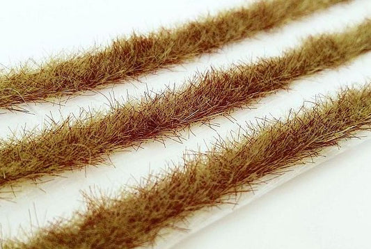 Grasstreifen Frühherbst